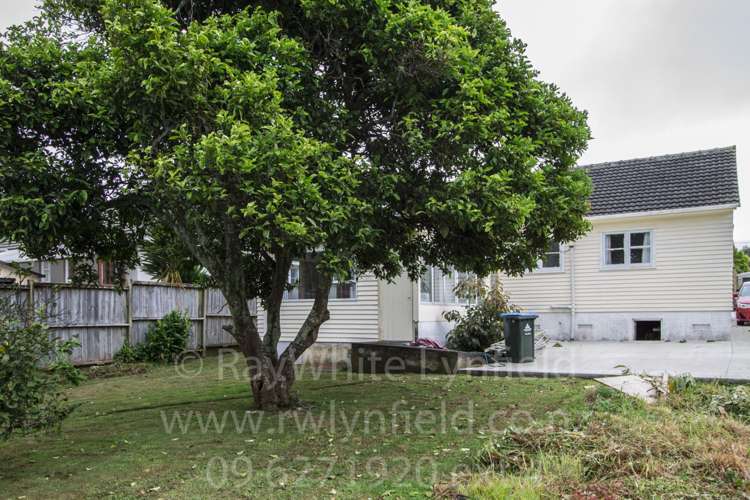 22 Brookfield Avenue Onehunga_1