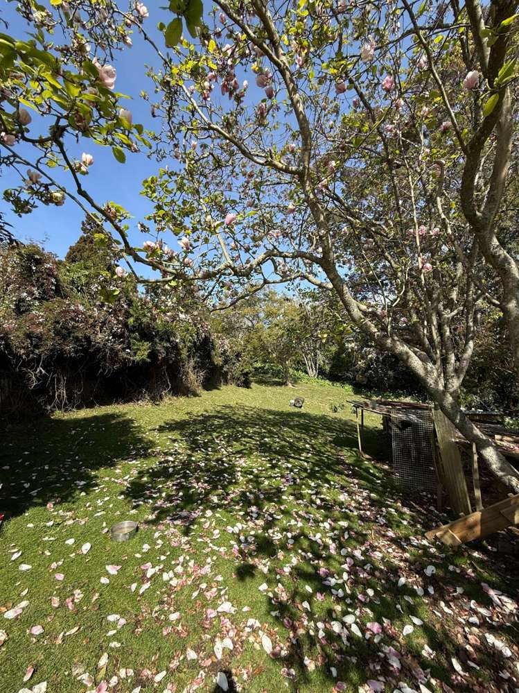 244 Point View Drive East Tamaki Heights_18