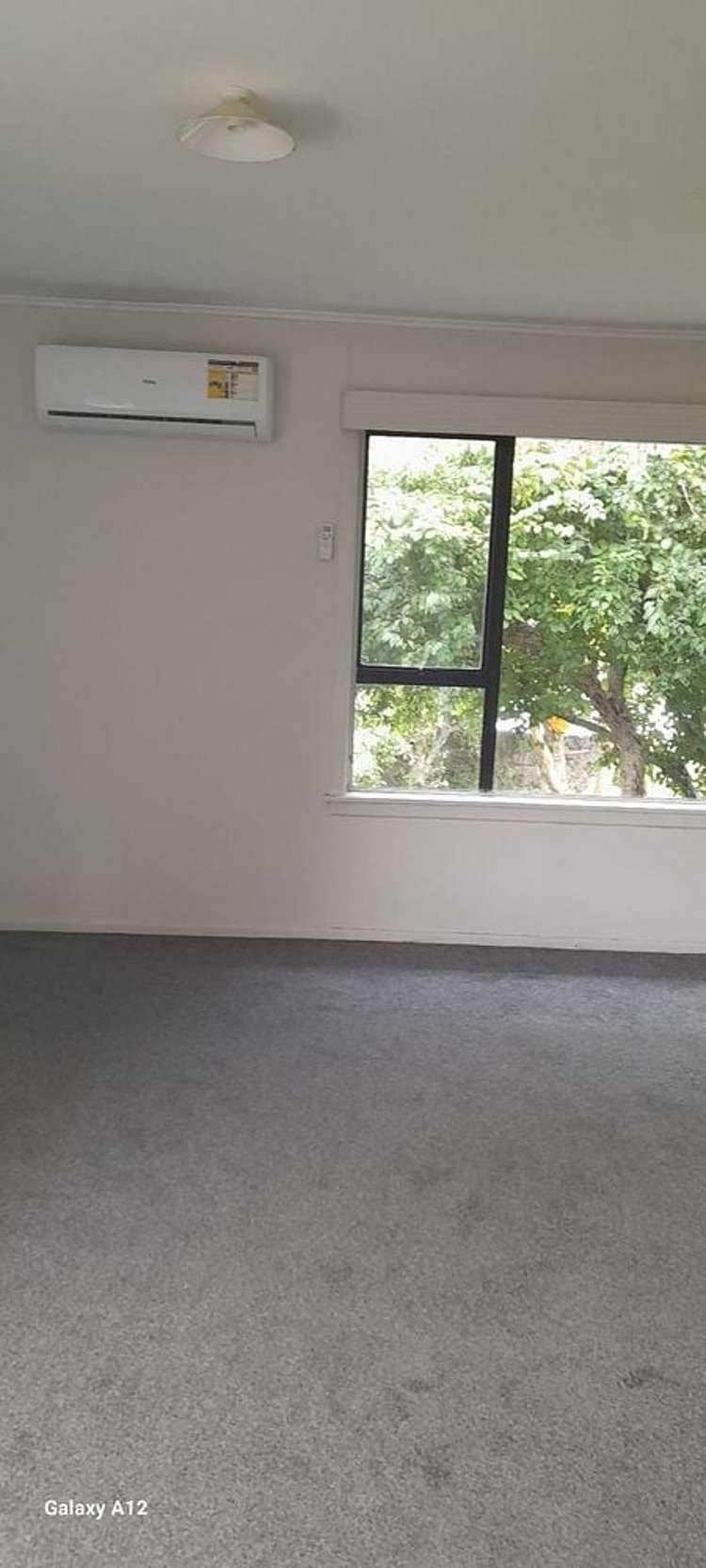 20 Boyce Avenue Mount Roskill_5