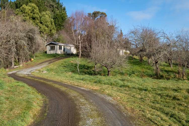 20 Gualter Road Geraldine_14