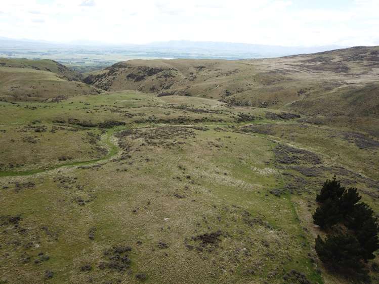 Hamilton Diggings Road Kokonga_8