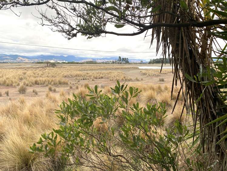 132 Barnett Avenue Nelson Bays Coastal_17