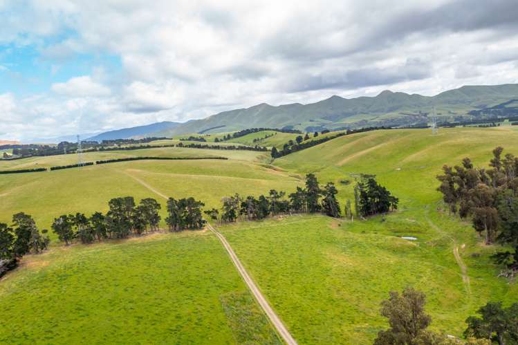 379 Mount Brown Road Broomfield_5