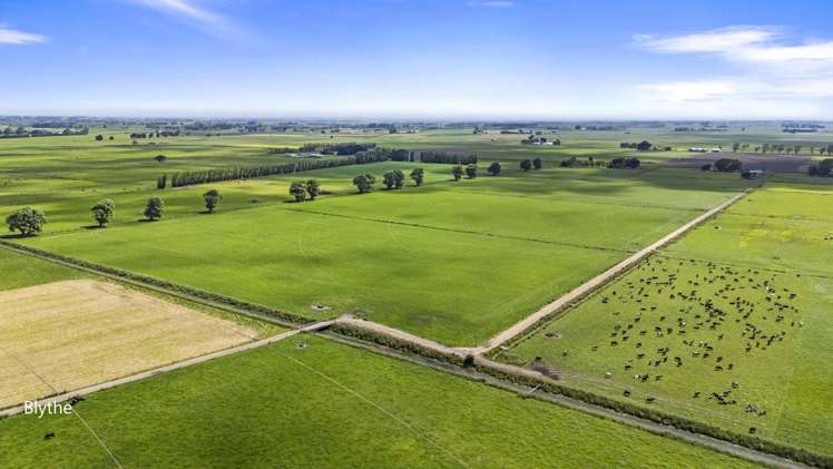 Generational Opportunities Palmerston North_4