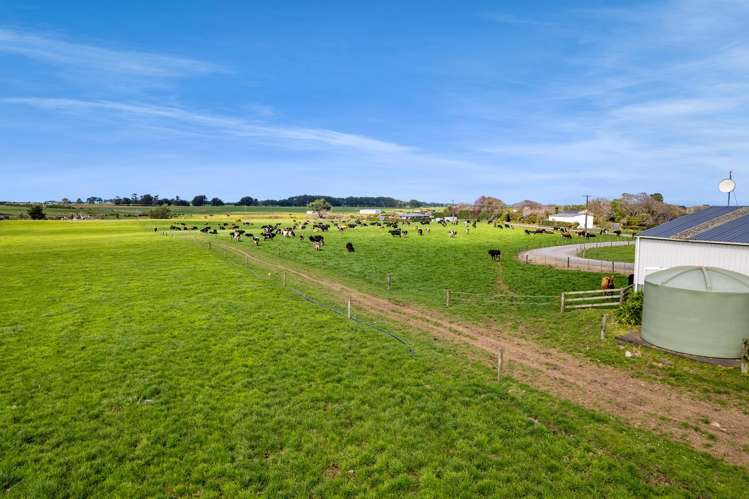 577 Patiki Road Pihama_13