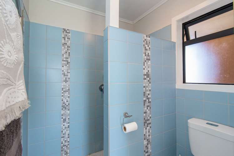 19 Springfield Road Springfield_13