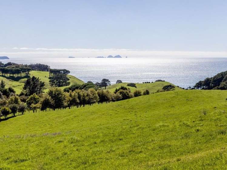 162g Whitipirorua Road Onemana_24