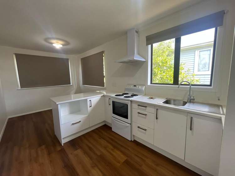 11 Springside Place New Lynn_3