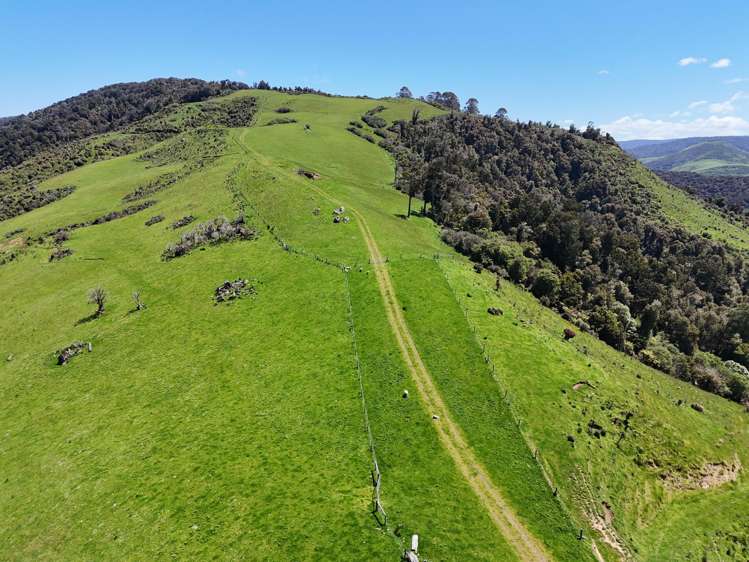 124 Niagara Waikawa Road Niagara_14