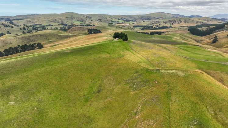 2 Cotswold Road Omihi_6