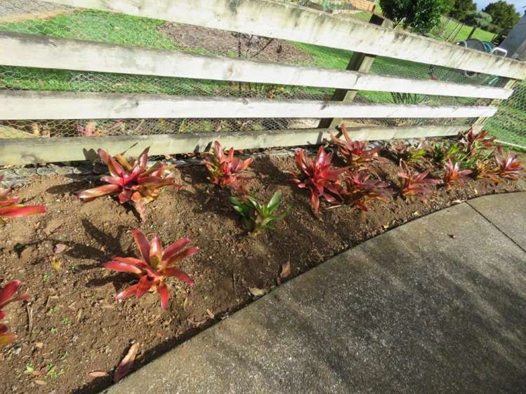 18 South View Place Kaikohe_9