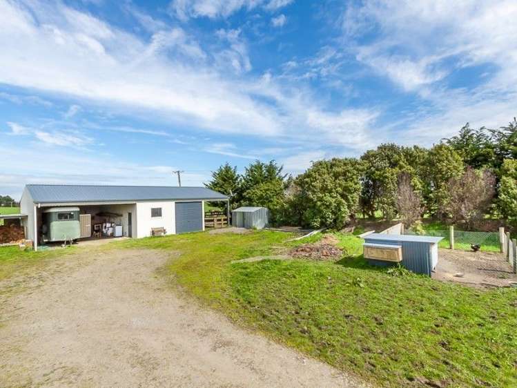 361 Whales Line Marton_24