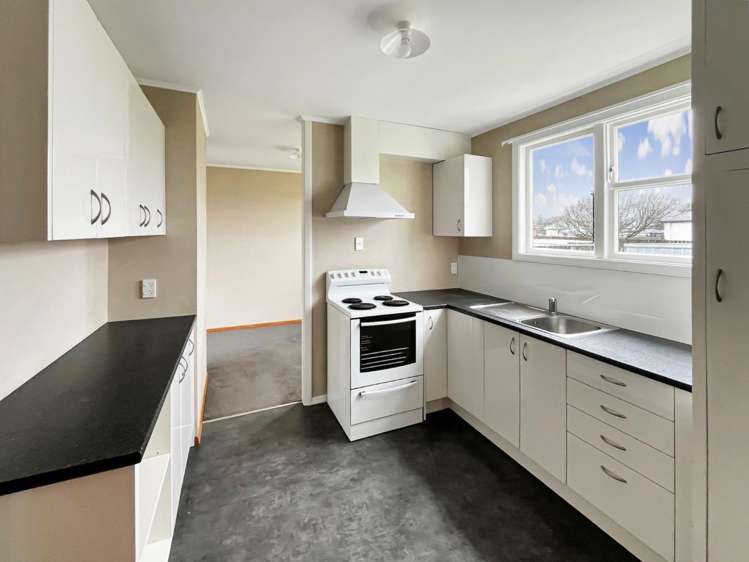 6 Devon Crescent Bulls_1