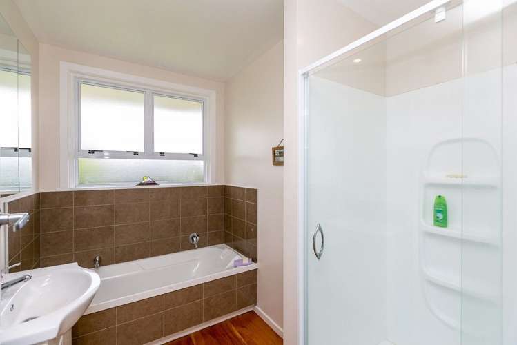 252 Huatoki Street Upper Vogeltown_9