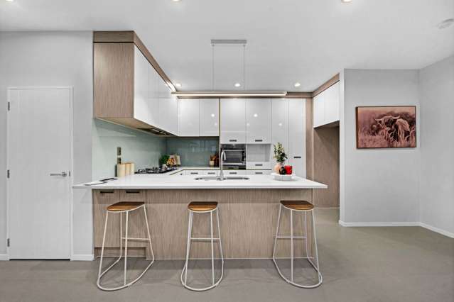 3 Haddington Drive Flat Bush_4