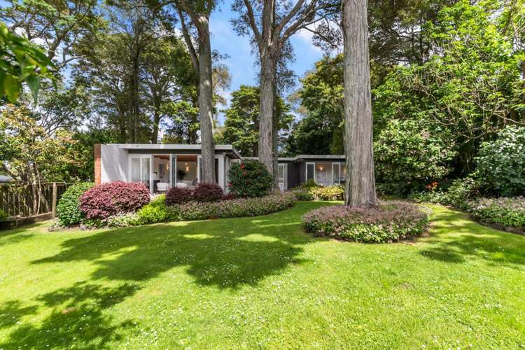 53a Hillcrest Avenue Hillcrest_11