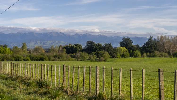 Brooklands Road Gladstone_8