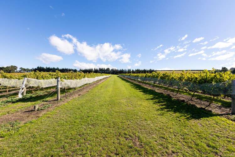 337 Mackenzies Road Waipara_6