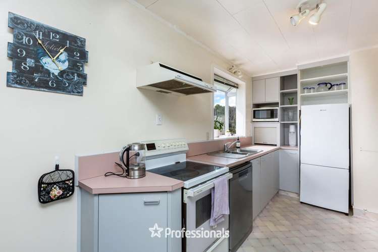 26 Shanly Street Brown Owl_8