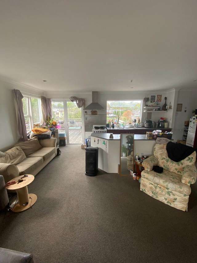 91 Willerton Avenue New Lynn_1