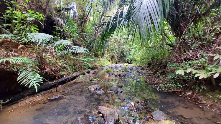 114 Hay Road Hukerenui and Surrounds_35