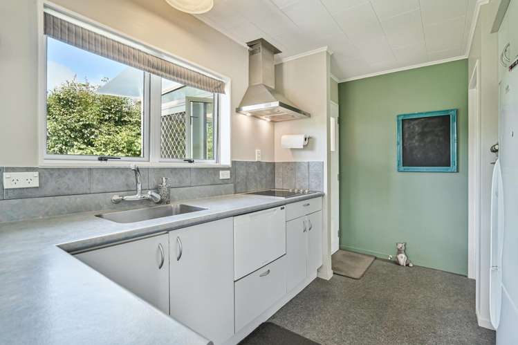 410 Hemi Street Raureka_2