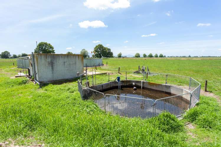 406 Manhire Road Morrinsville_33