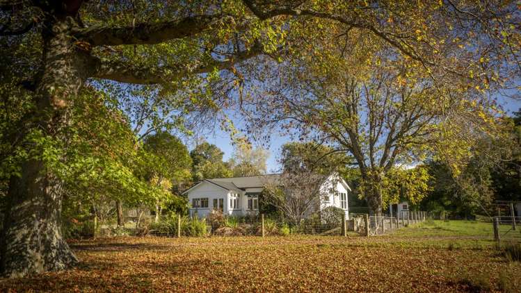 72 Te Hau Road Masterton_4