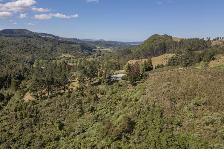 575 Mill Creek Road Kaimarama_9