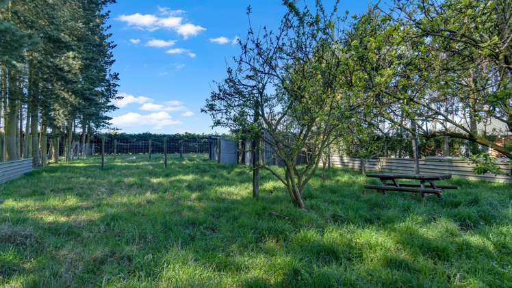275 Plaskett Road Fernside_23