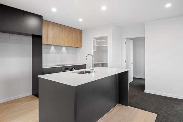 64 Monarch Drive Rolleston_3