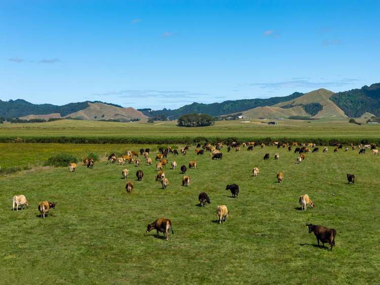 331 Kneebone Road Orini_21