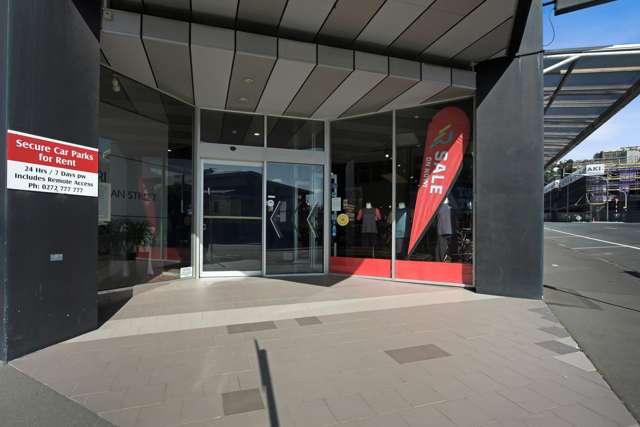 Ground/181 Vivian Street Te Aro_2