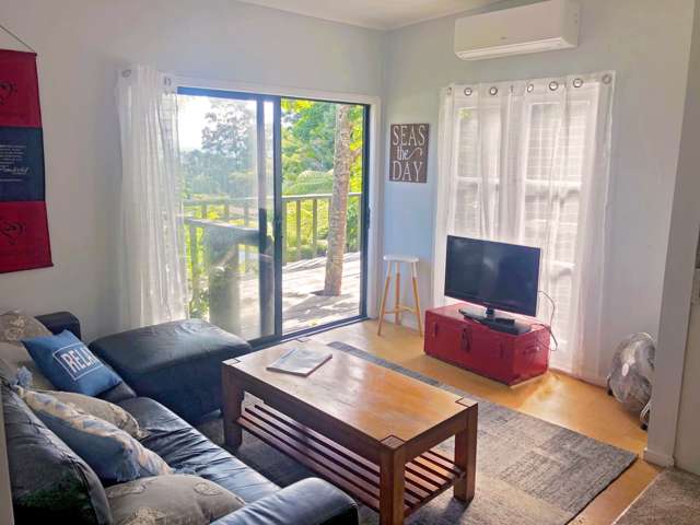 5 Strange Road Waiomu_4