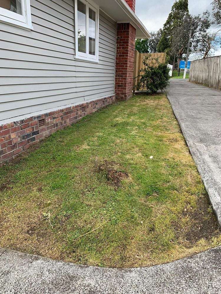 32A Toru Street Te Atatu Peninsula_13