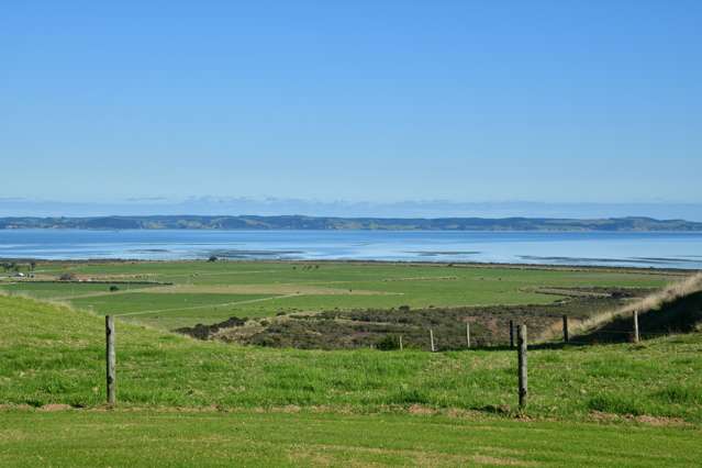 King of the Kaipara living the dream