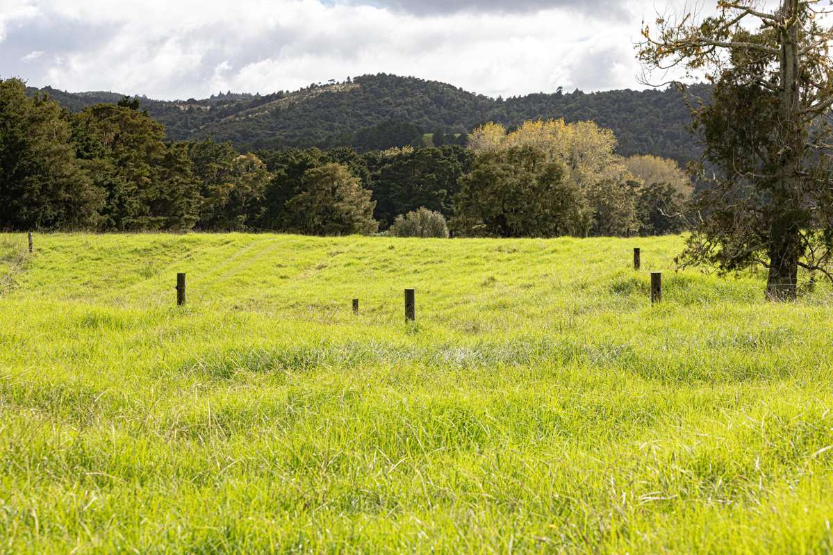 30C Te Ranga Road_2