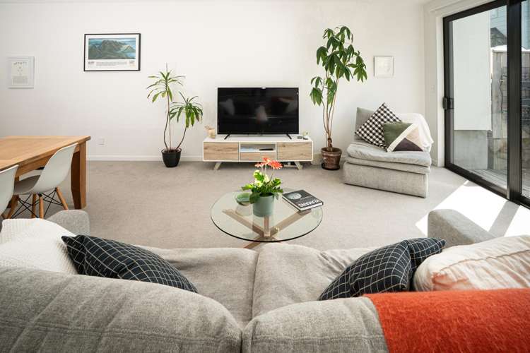 26 Palm Grove Berhampore_14