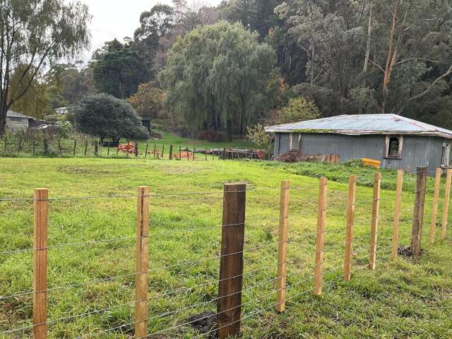 28 Domain Road Ormond_2
