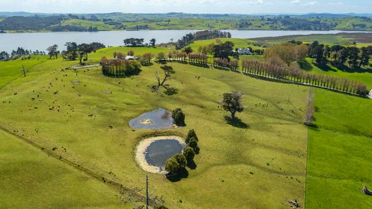 91 Beaver Road Wharehine_14