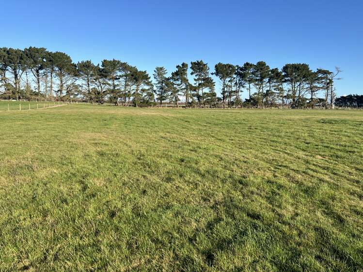 1169 Motu Rimu Road_1