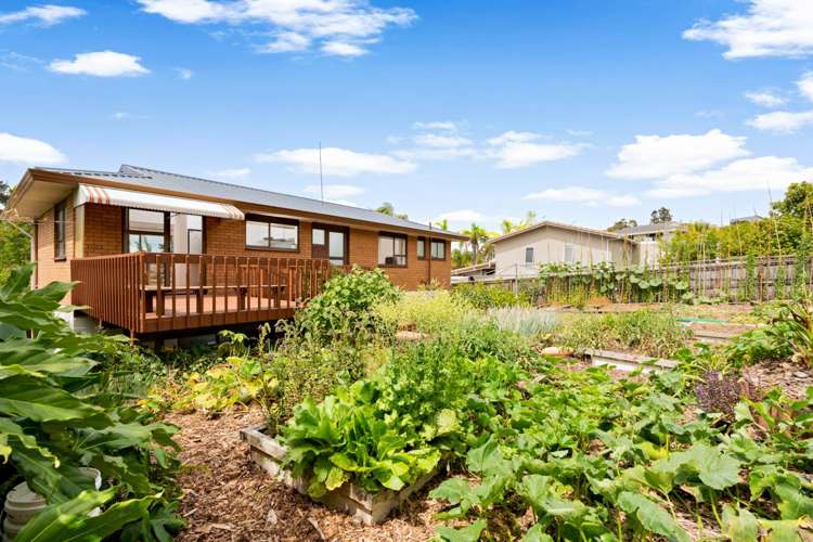 115 Stapleford Crescent Browns Bay_16