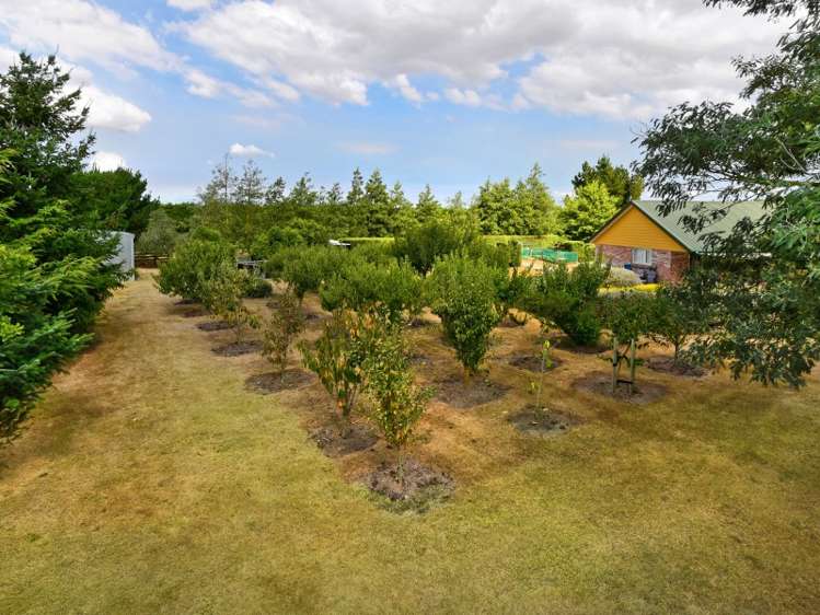 1/2546 Wards Road Darfield_19