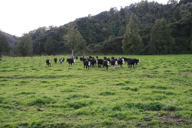 0n Mangaonga Road Ahititi_1