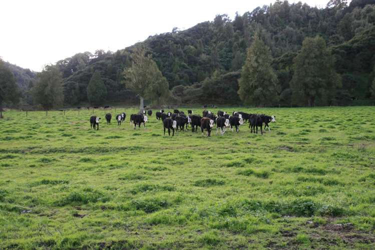 0n Mangaonga Road Ahititi_1