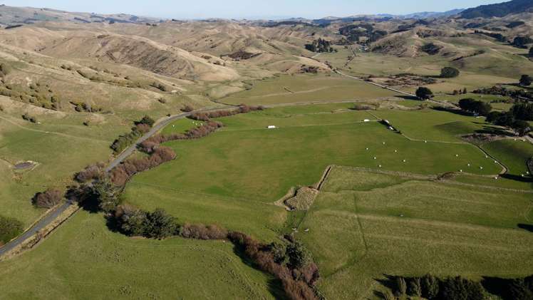 1 Hall Road Ngongotaha_11