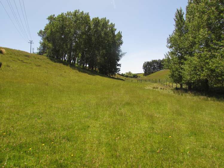 210 Terry Road Gore_4