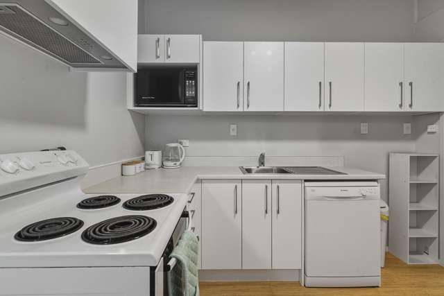 181 Leith Street North Dunedin_1