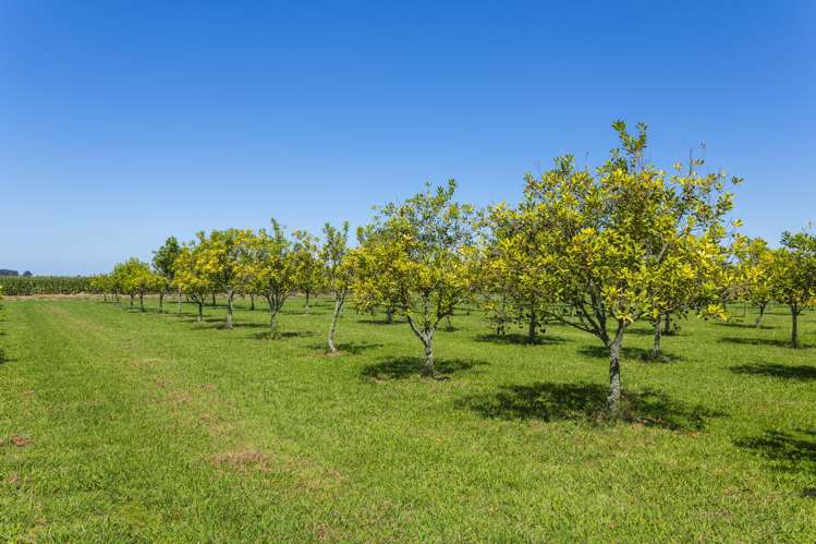 136A Main Road Makaraka_23