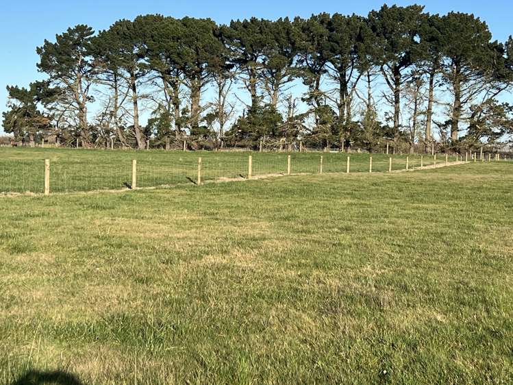 1169 Motu Rimu Road_2